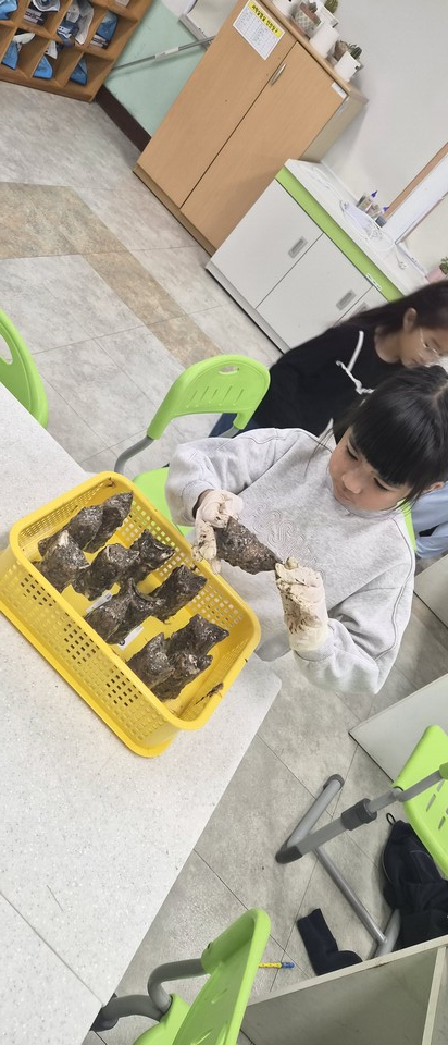 식목일 계기교육(친환경 모종 화분만들기)