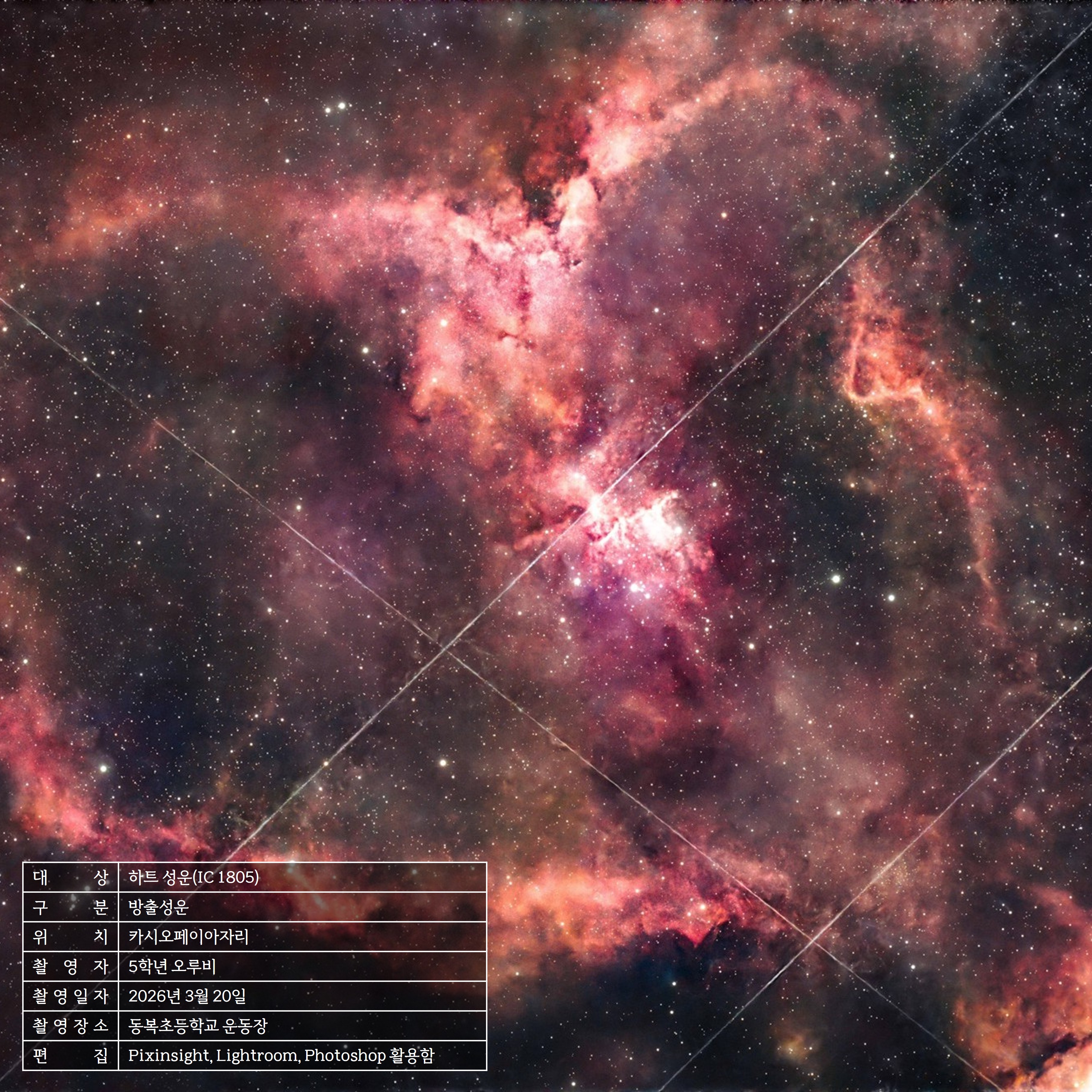 하트 성운 - 5학년 오루비